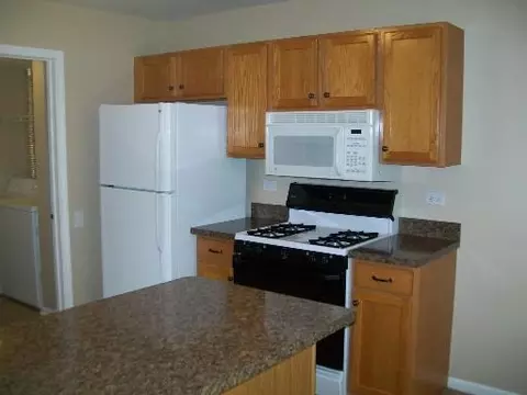 1287 Spaulding Rd, Bartlett, IL 60103 photo 6