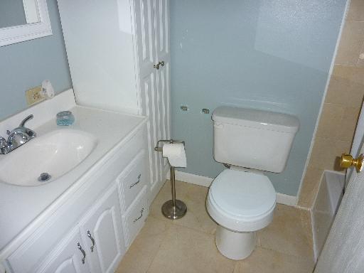 324 Meadow Green Ln, Round Lake, IL 60073 photo 6