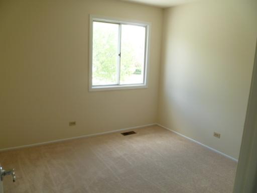 1208 S Appletree Ln, Bartlett, IL 60103 photo 10