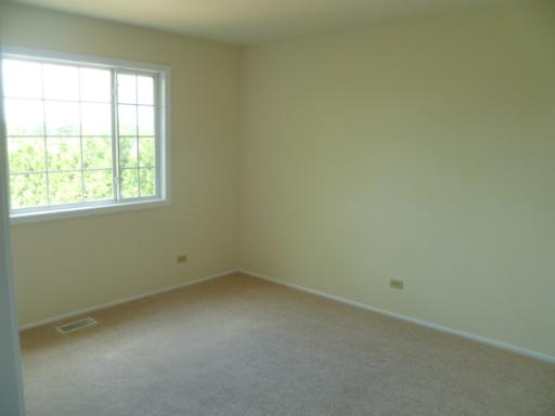 1208 S Appletree Ln, Bartlett, IL 60103 photo 8