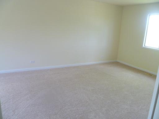 1208 S Appletree Ln, Bartlett, IL 60103 photo 5