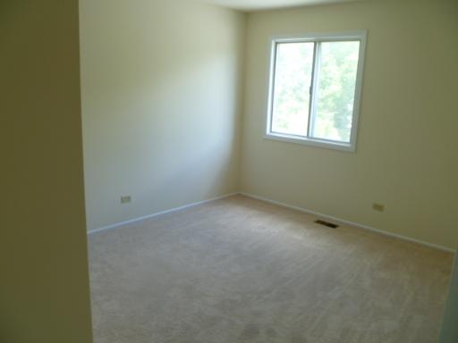 1208 S Appletree Ln, Bartlett, IL 60103 photo 9