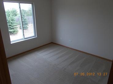 3211 Hoffman St, Plano, IL 60545 photo 8