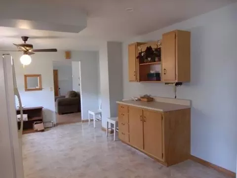 108 N First St, Cherry, IL 61317 photo 7