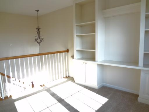 768 Lambert Ln #96-5, Bartlett, IL 60103 photo 13