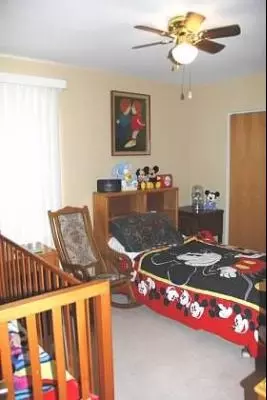 2202 Timber Trl, Plainfield, IL 60586 photo 15