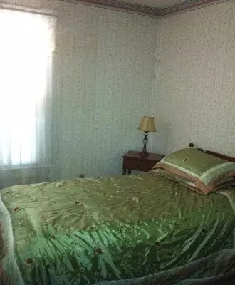 116 N Central Ave, Ladd, IL 61329 photo 7