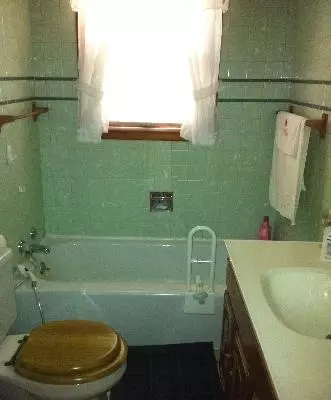 116 N Central Ave, Ladd, IL 61329 photo 5