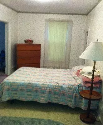 116 N Central Ave, Ladd, IL 61329 photo 6
