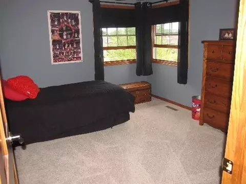 1758 Kingtree Dr, Morris, IL 60450 photo 15