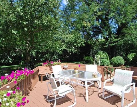 67 Graymoor Ln, Olympia Fields, IL 60461 photo 3