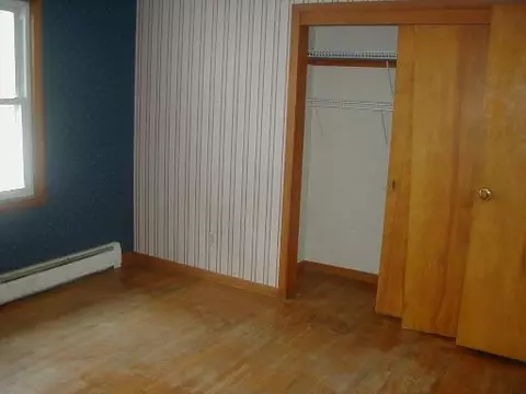 113 E Dakota St, Spring Valley, IL 61362 photo 9
