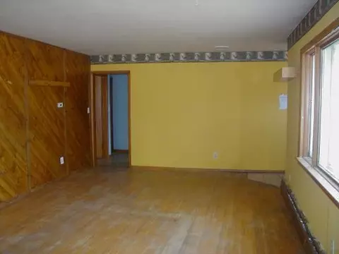 113 E Dakota St, Spring Valley, IL 61362 photo 4