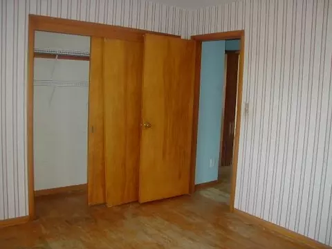 113 E Dakota St, Spring Valley, IL 61362 photo 5
