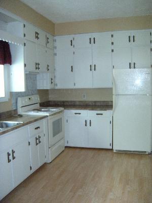 906 North St, Mazon, IL 60444 photo 3