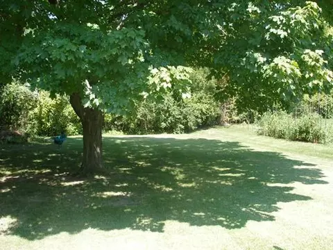 512 E Walnut St, Oglesby, IL 61348 photo 16