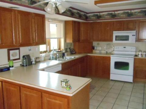 205 E Susan Dr, Dwight, IL 60420 photo 7