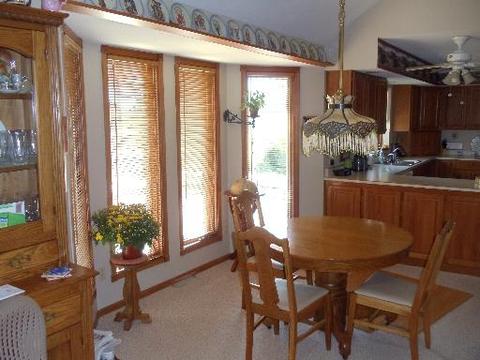 205 E Susan Dr, Dwight, IL 60420 photo 8