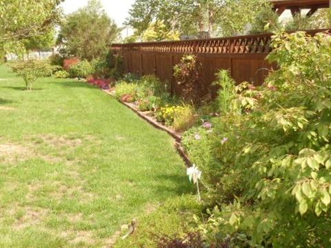 205 E Susan Dr, Dwight, IL 60420 photo 4
