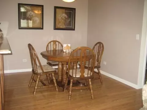 16641 S Fox Run Cir, Plainfield, IL 60586 photo 11