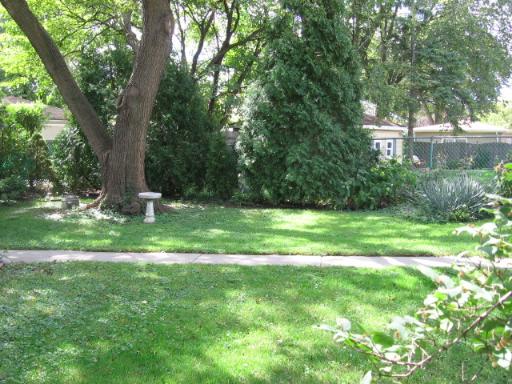 8905 Monroe Ave, Brookfield, IL 60513 photo 13