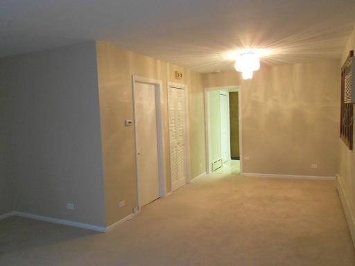 2921 S Normal Ave, Chicago, IL 60616 photo 10
