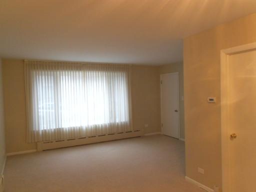 2921 S Normal Ave, Chicago, IL 60616 photo 9