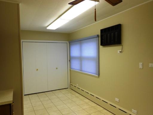 2921 S Normal Ave, Chicago, IL 60616 photo 6