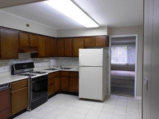 2921 S Normal Ave, Chicago, IL 60616 photo 3