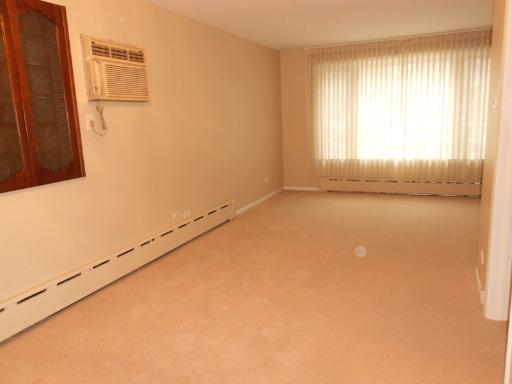 2921 S Normal Ave, Chicago, IL 60616 photo 8