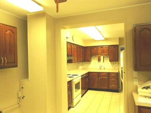 2921 S Normal Ave, Chicago, IL 60616 photo 7