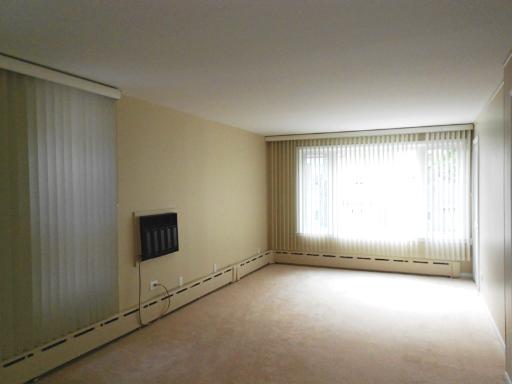 2921 S Normal Ave, Chicago, IL 60616 photo 2