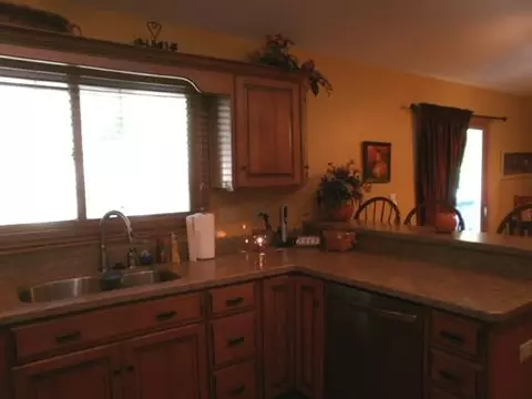 910 W First St, Spring Valley, IL 61362 photo 5