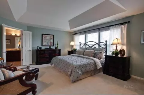 431 Brookside Ave, Algonquin, IL 60102 photo 13