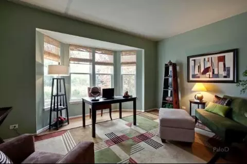431 Brookside Ave, Algonquin, IL 60102 photo 12