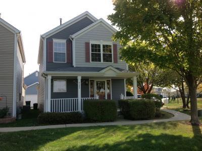 4142 Rivertowne Dr, Plainfield, IL 60544 photo 1