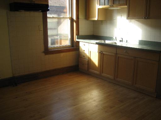 4843 W Deming Pl, Chicago, IL 60639 photo 6