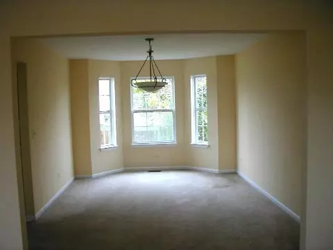 709 Brita Trl, Minooka, IL 60447 photo 5