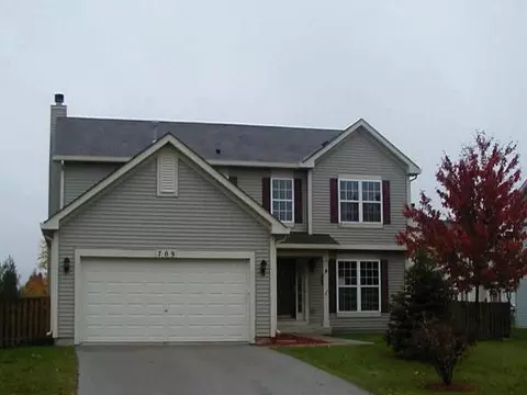 709 Brita Trl, Minooka, IL 60447 photo 1