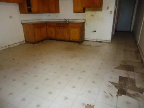 444 E 134th St, Chicago, IL 60827 photo 3