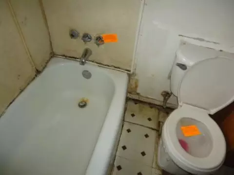 444 E 134th St, Chicago, IL 60827 photo 4