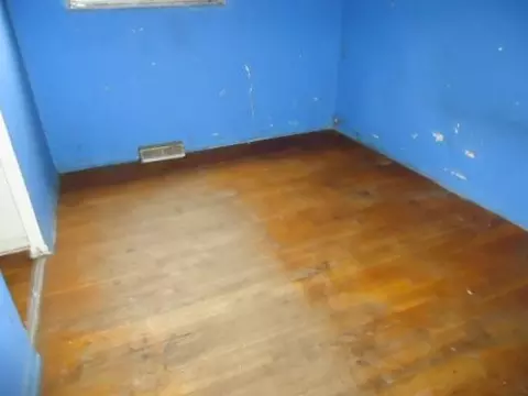 444 E 134th St, Chicago, IL 60827 photo 6