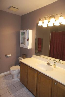 3146 Anton Dr, Aurora, IL 60504 photo 10