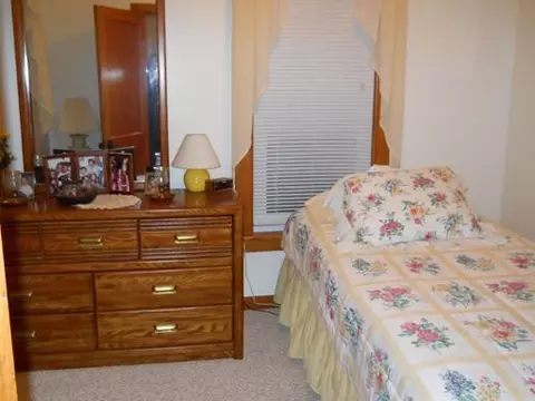 119 W First St, Spring Valley, IL 61362 photo 6