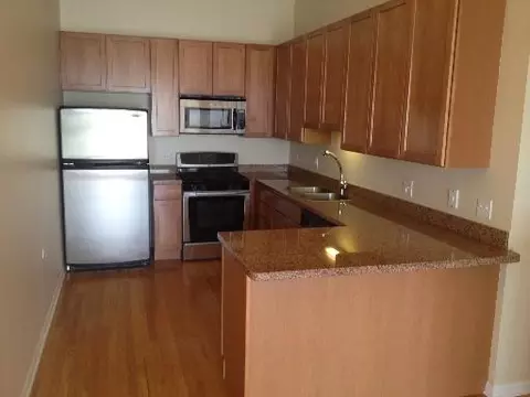 1040 E 47th St #4n, Chicago, IL 60653 photo 4