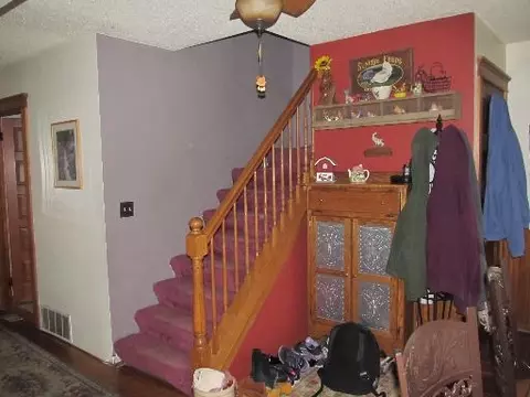 315 N 46th Rd, Mendota, IL 61342 photo 11