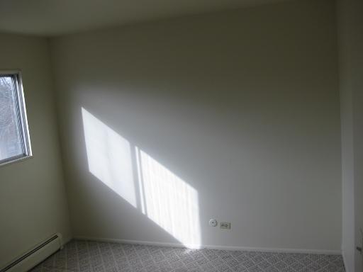 2508 Algonquin Rd #12, Rolling Meadows, IL 60008 photo 11