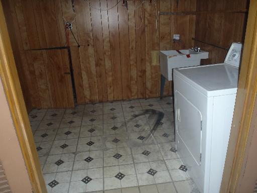 7724 S Central Ave, Burbank, IL 60459 photo 9