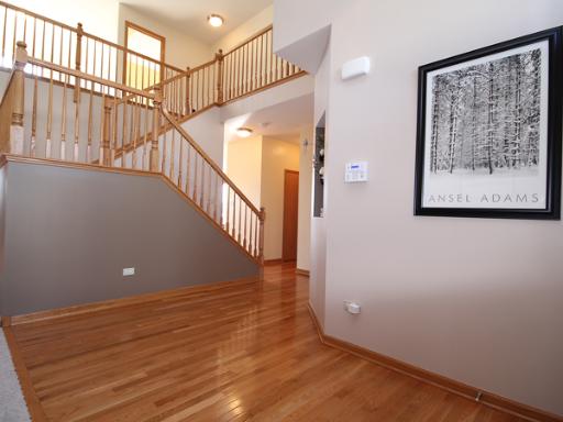 6618 Mountain Ridge Pass, Plainfield, IL 60586 photo 4