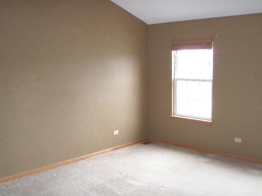 1904 Arbor Fields Dr, Plainfield, IL 60586 photo 11